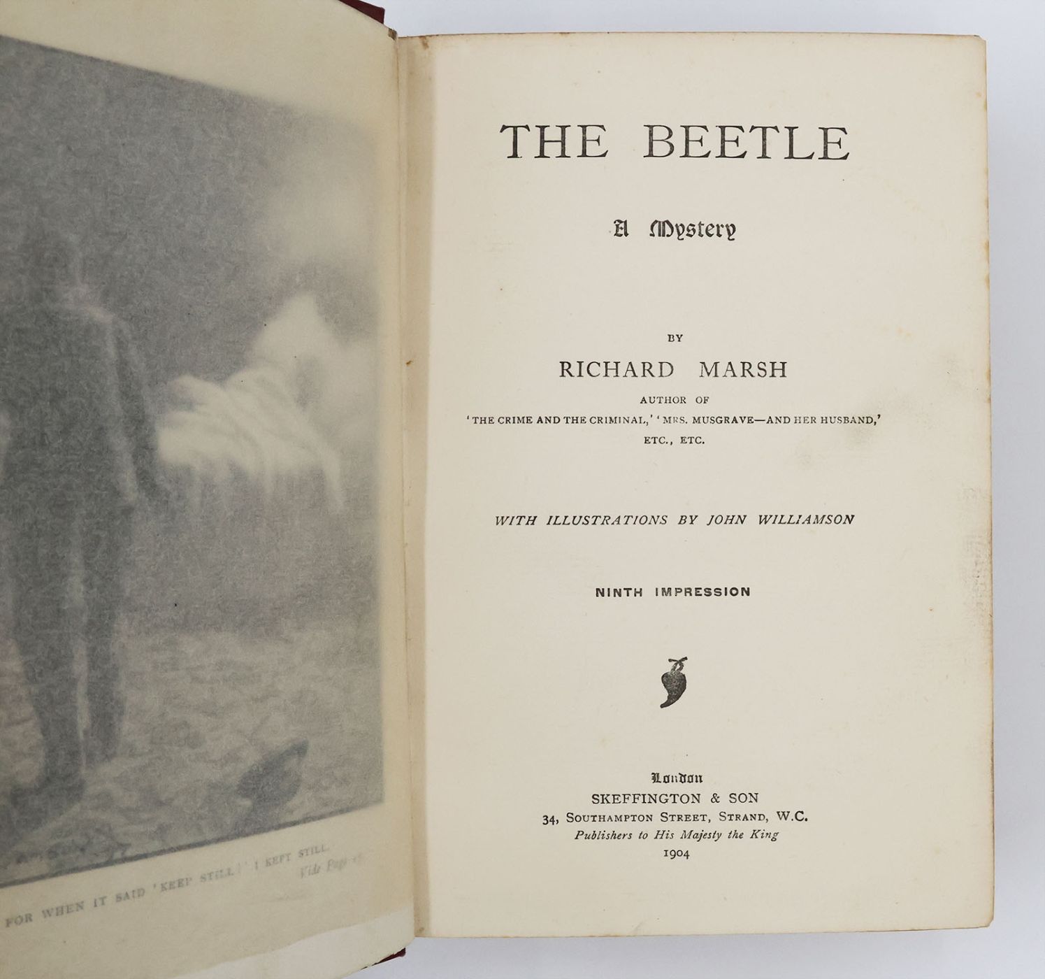 THE BEETLE. -  image 3