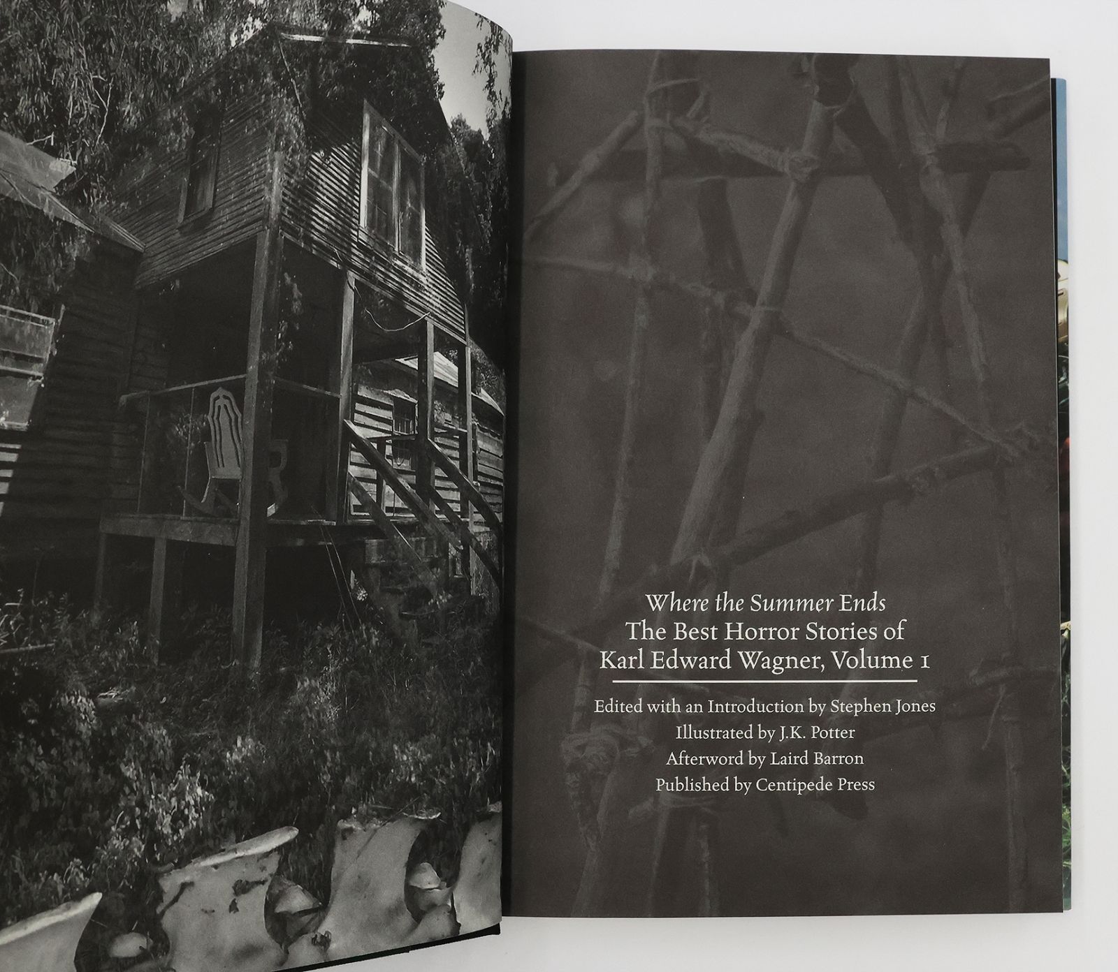 THE BEST HORROR STORIES OF KARL EDWARD WAGNER. -  image 6