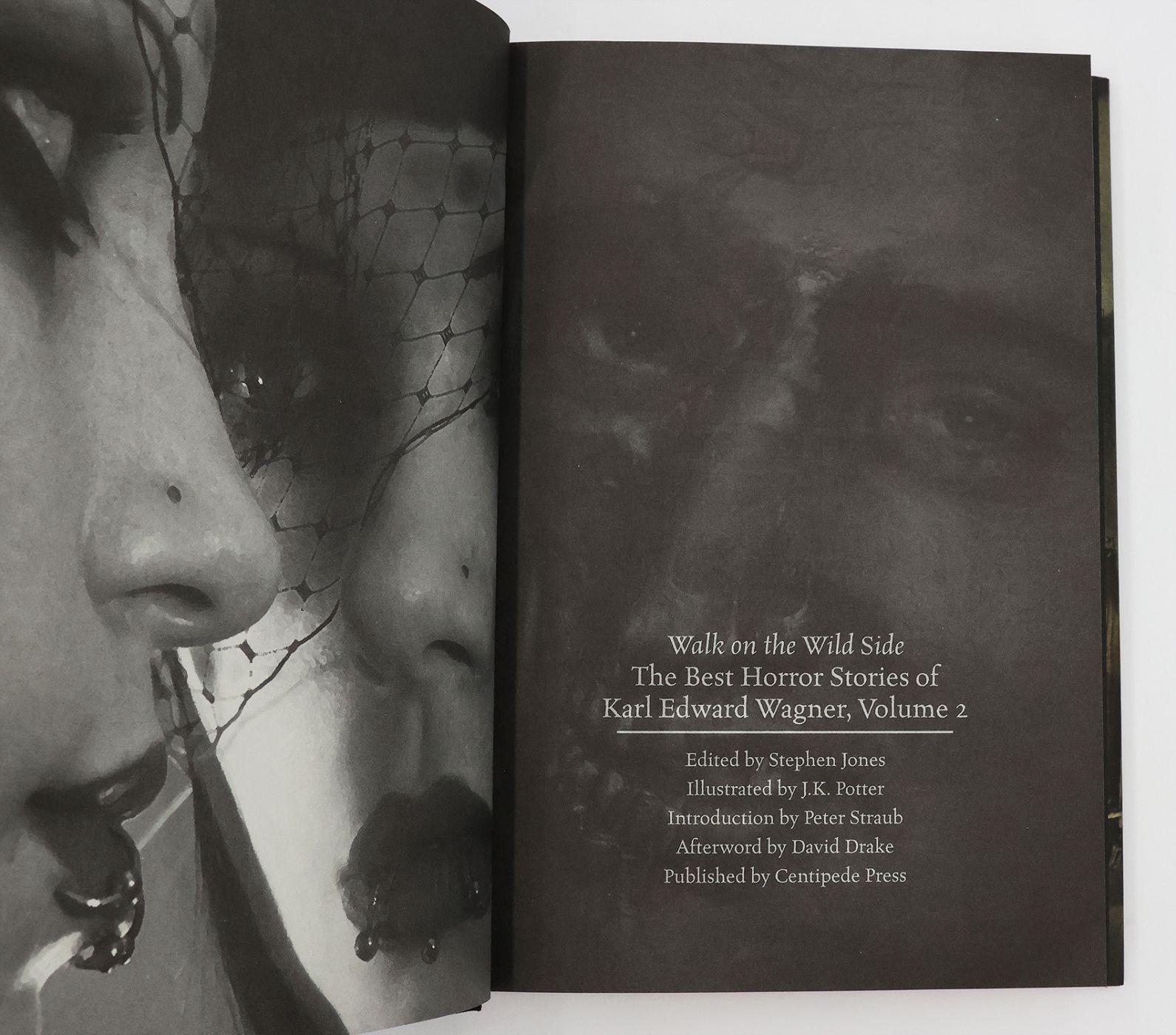 THE BEST HORROR STORIES OF KARL EDWARD WAGNER. -  image 9