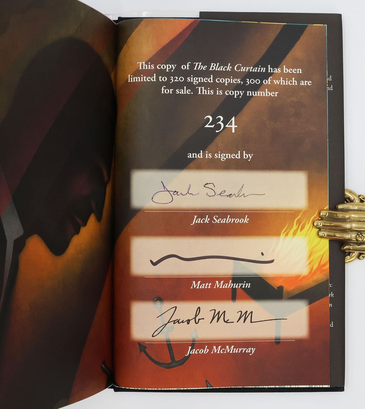 THE BLACK CURTAIN -  image 2