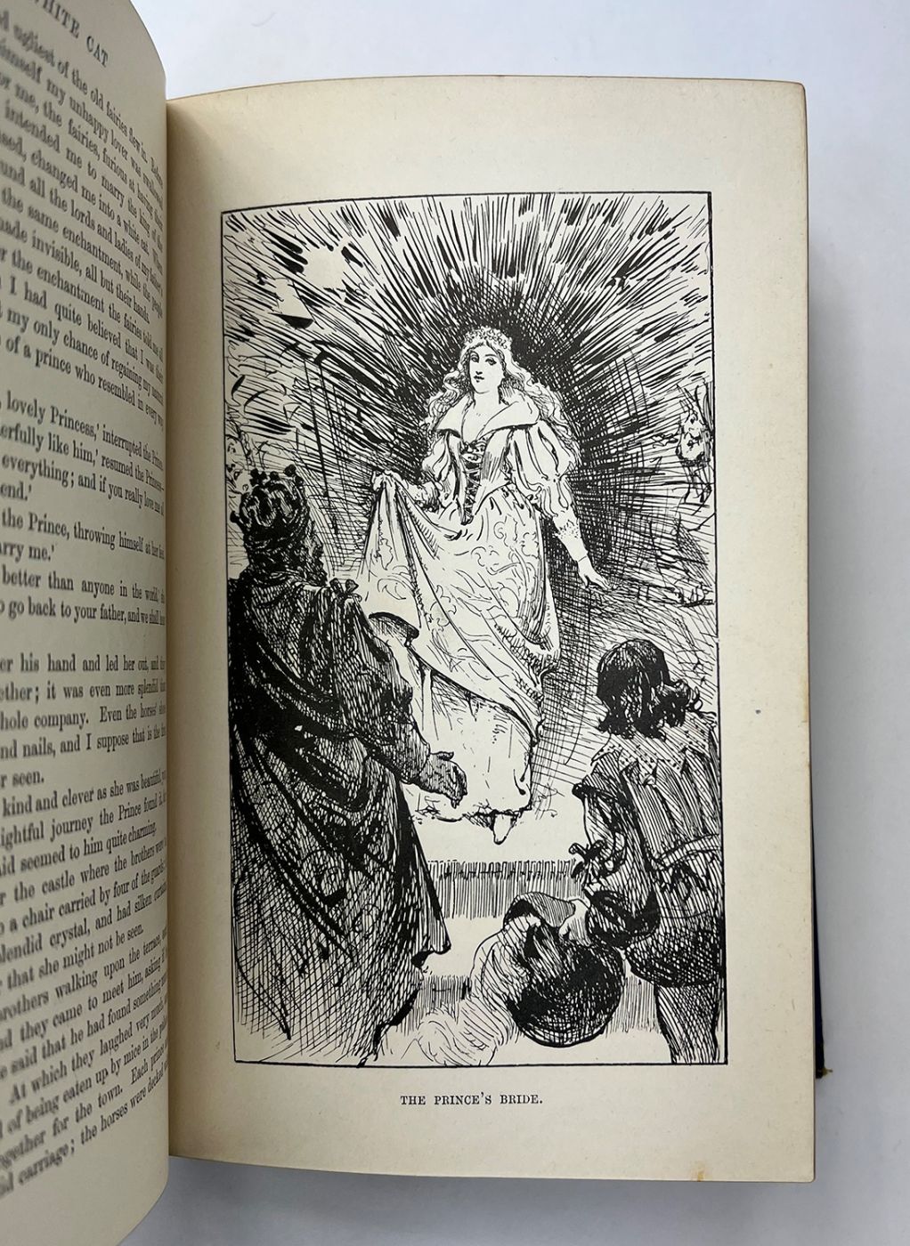 THE BLUE FAIRY BOOK -  image 6