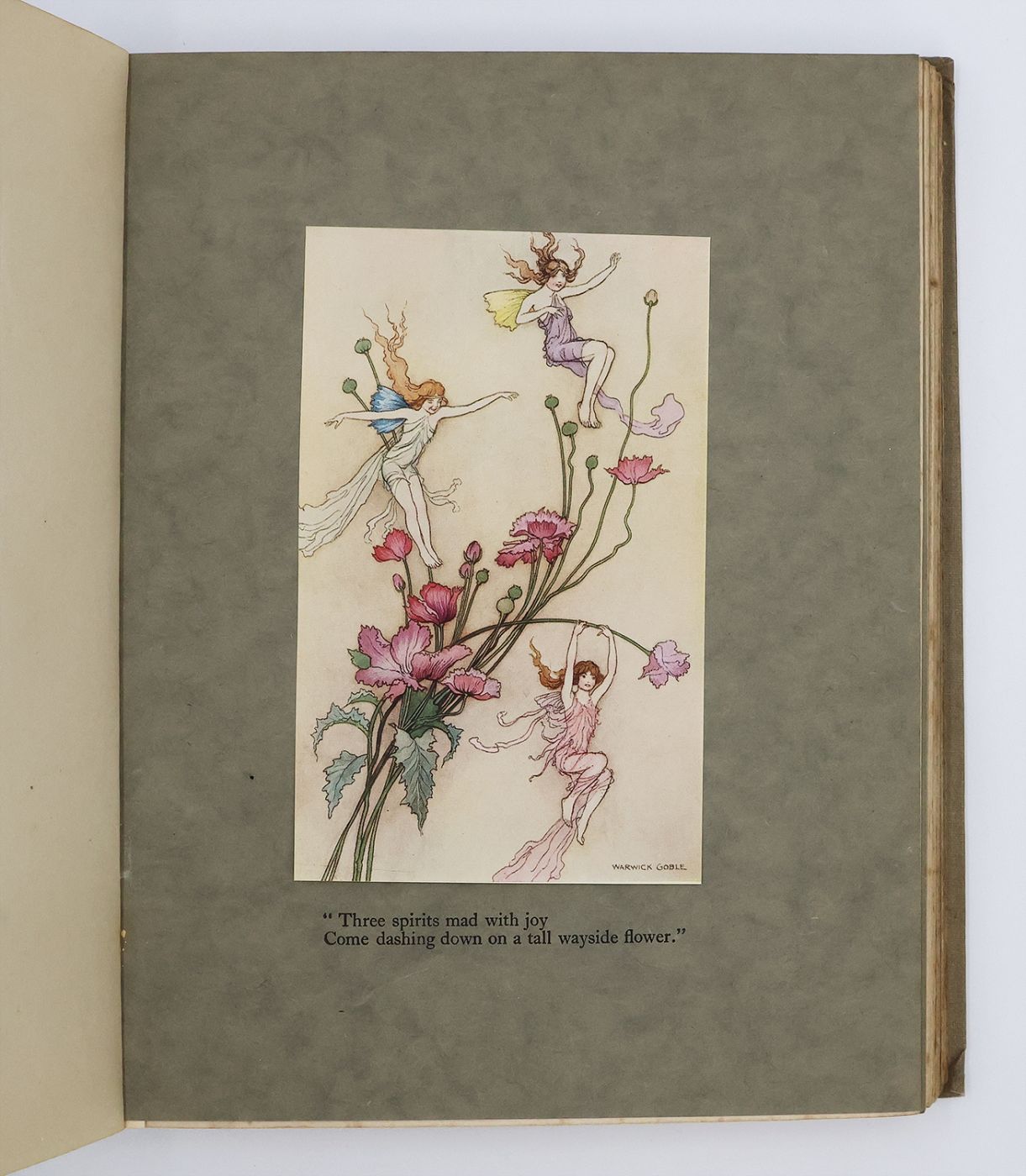 THE BOOK OF FAIRY POETRY -  image 6