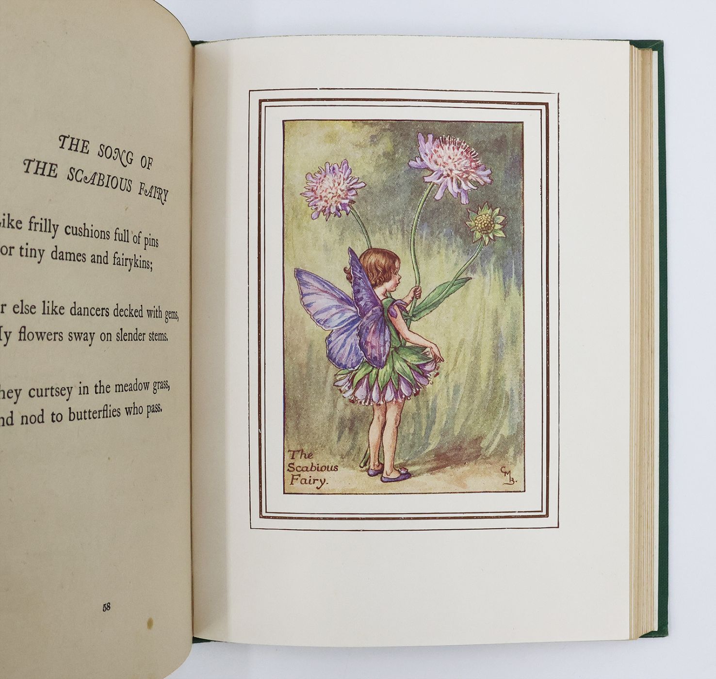 THE BOOK OF THE FLOWER FAIRIES. -  image 3