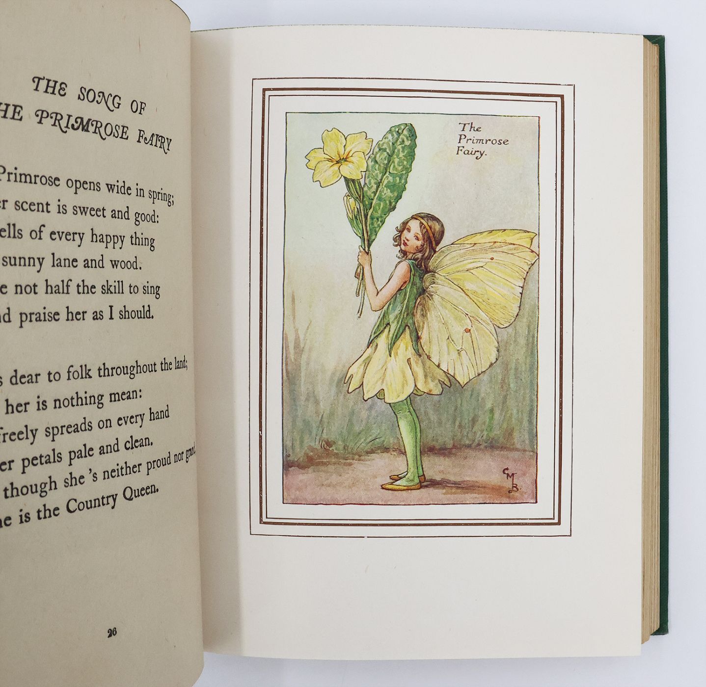 THE BOOK OF THE FLOWER FAIRIES. -  image 4