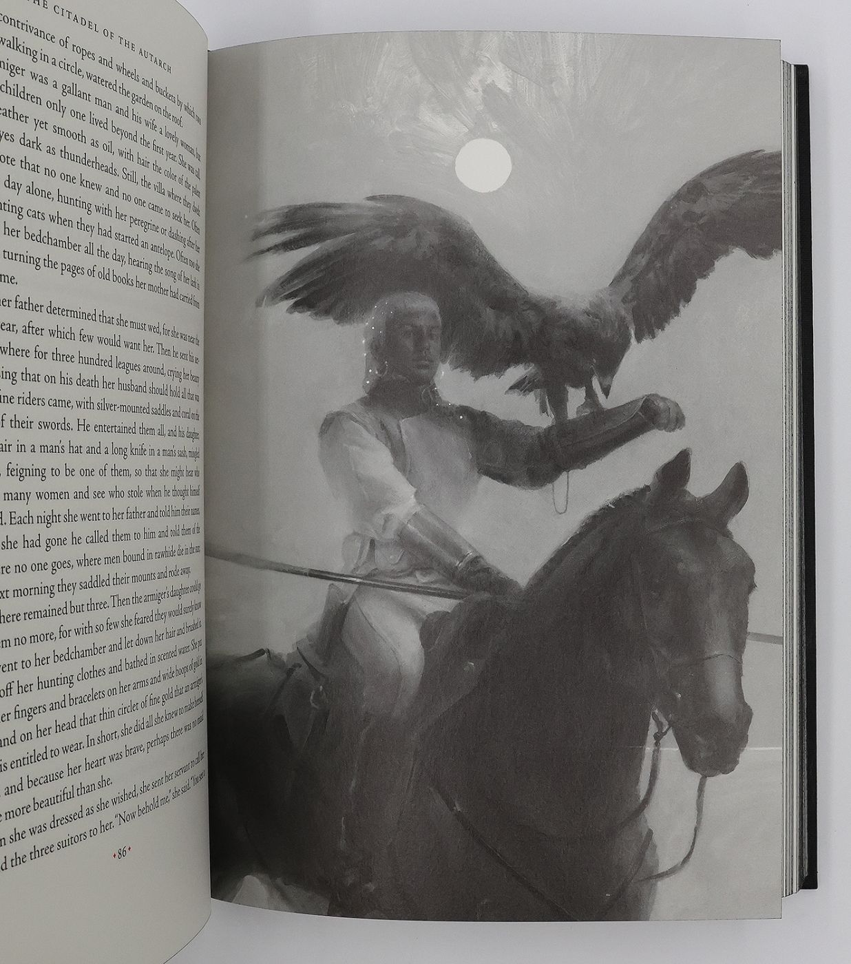 THE BOOK OF THE NEW SUN: -  image 16