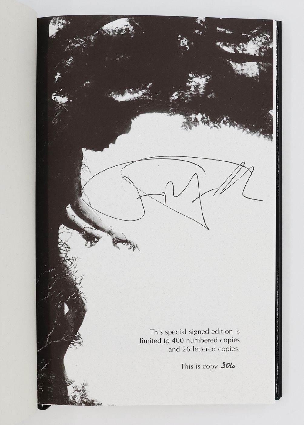 THE BOTTOMS -  image 3