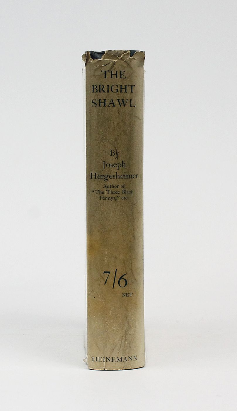 THE BRIGHT SHAWL -  image 2