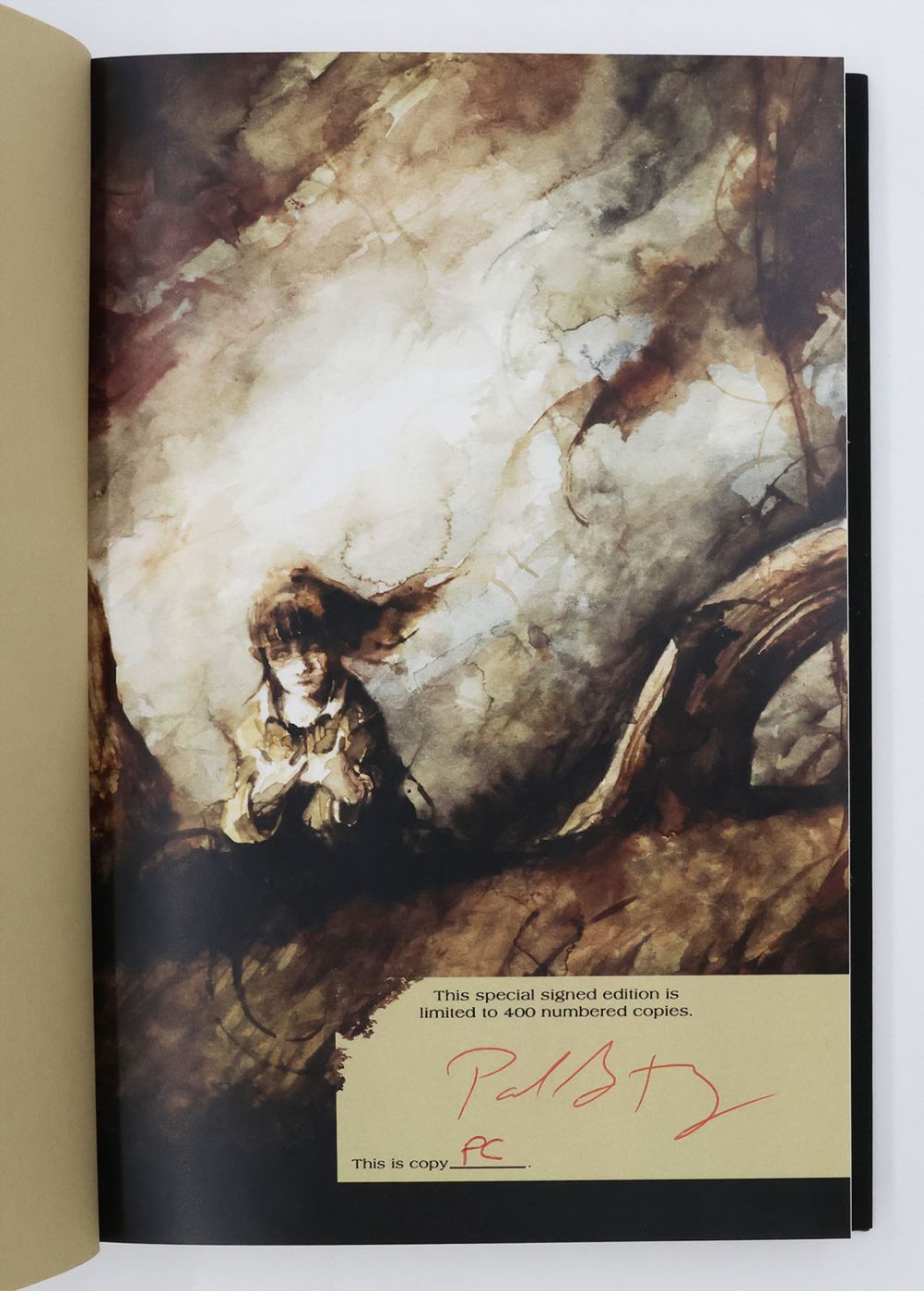 THE CABIN AT THE END OF THE WORLD -  image 2