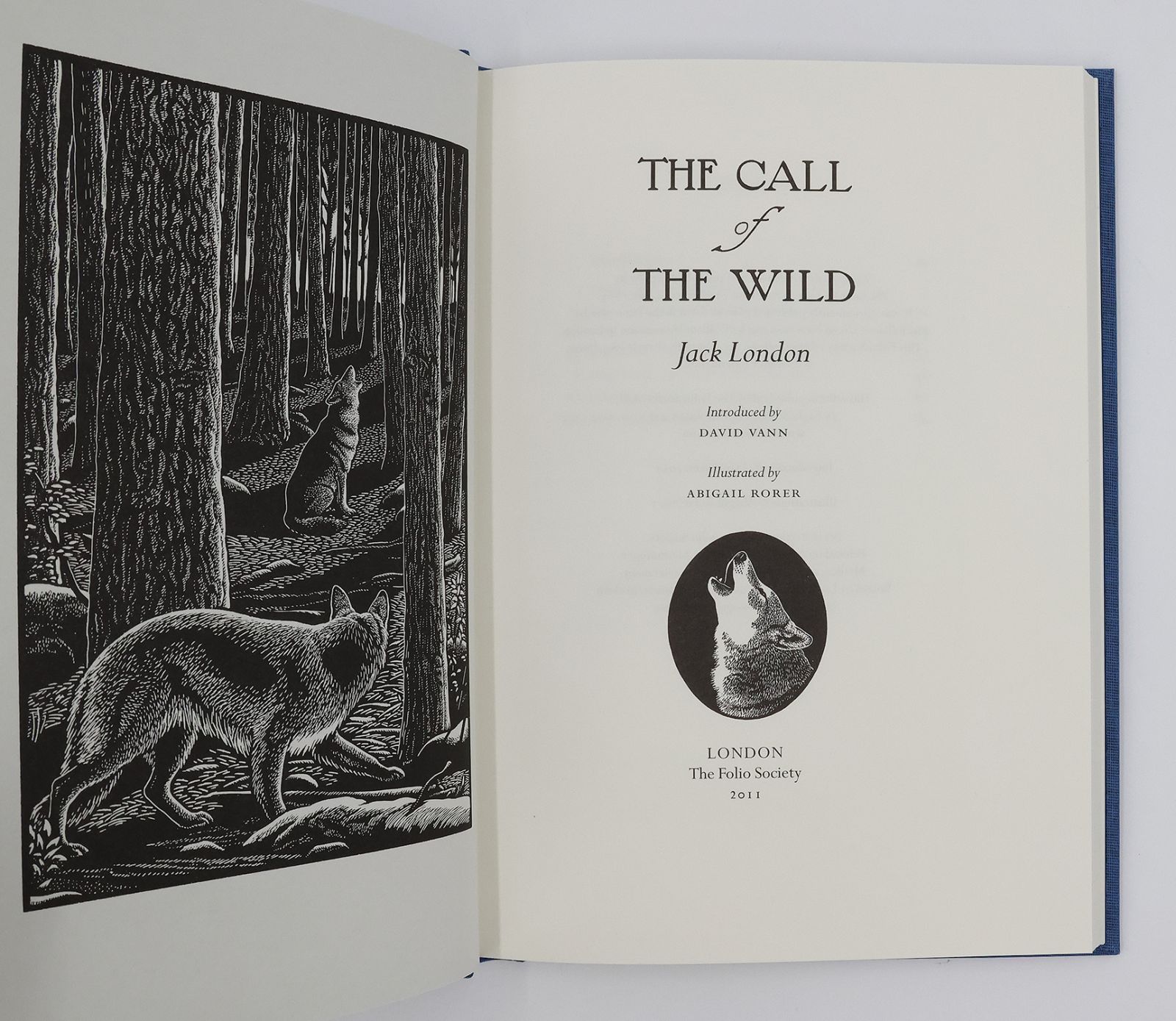 THE CALL OF THE WILD -  image 2