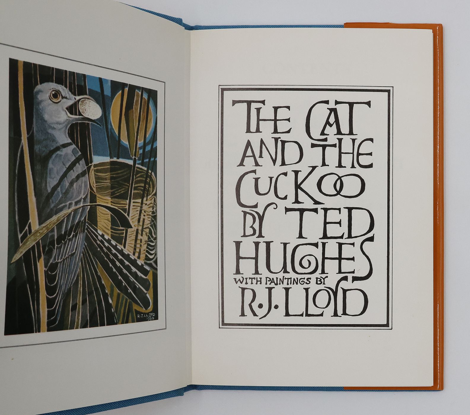 THE CAT AND THE CUCKOO -  image 3