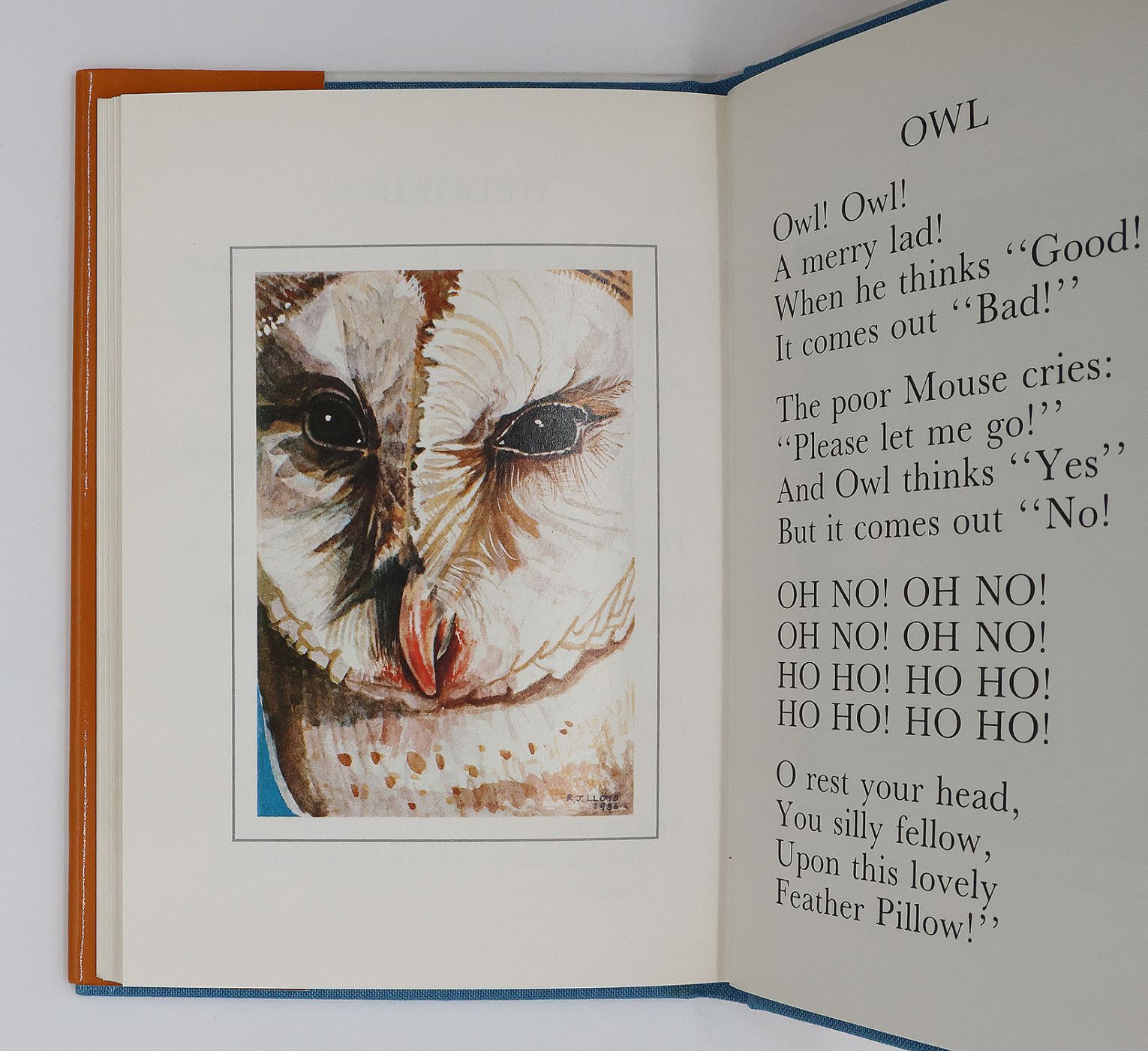 THE CAT AND THE CUCKOO -  image 4