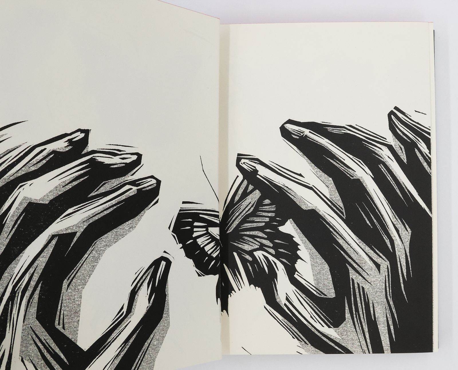 THE COLLECTOR -  image 5