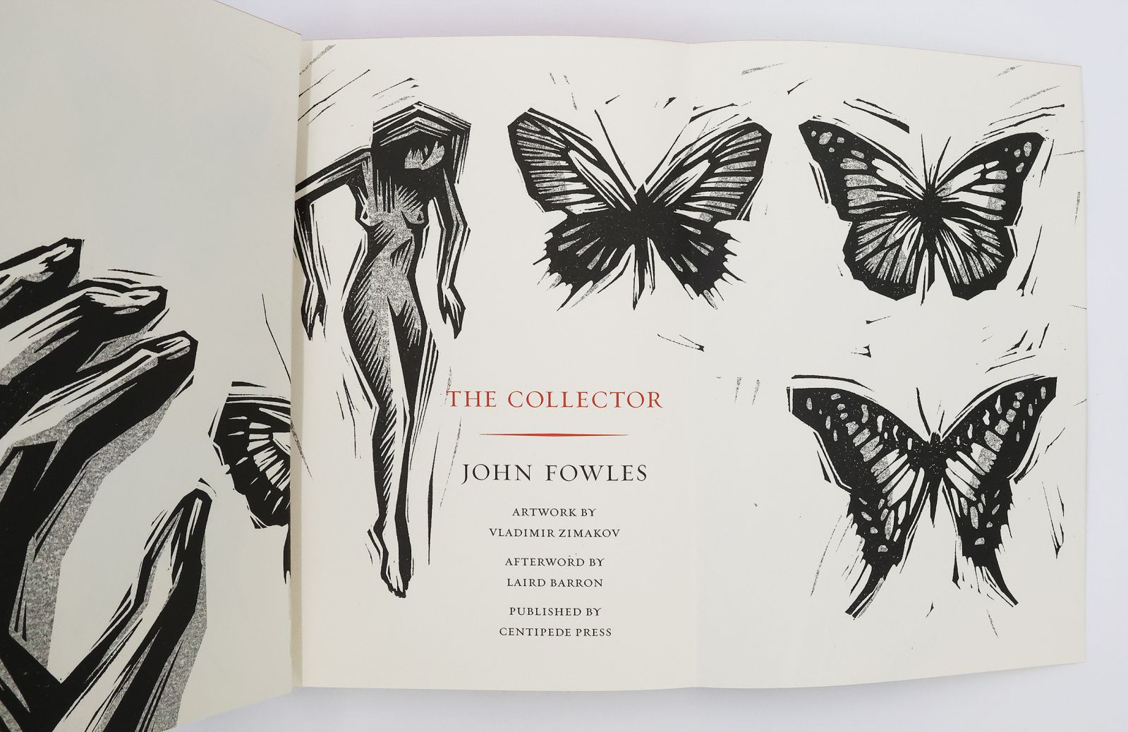 THE COLLECTOR -  image 6