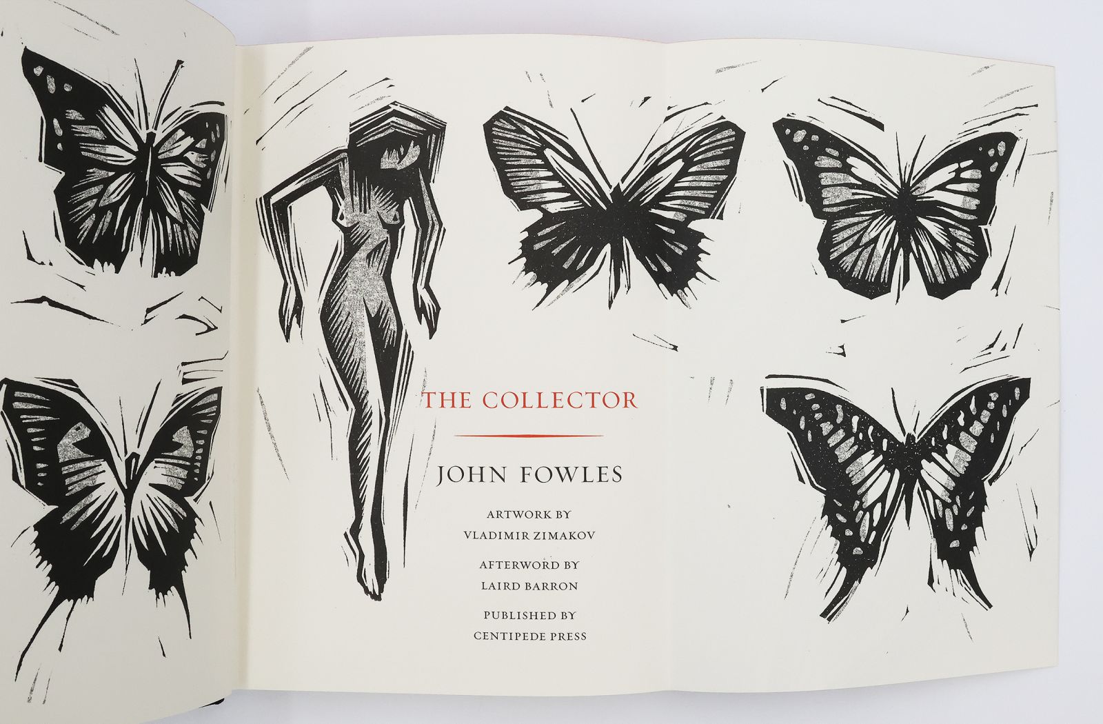 THE COLLECTOR -  image 7