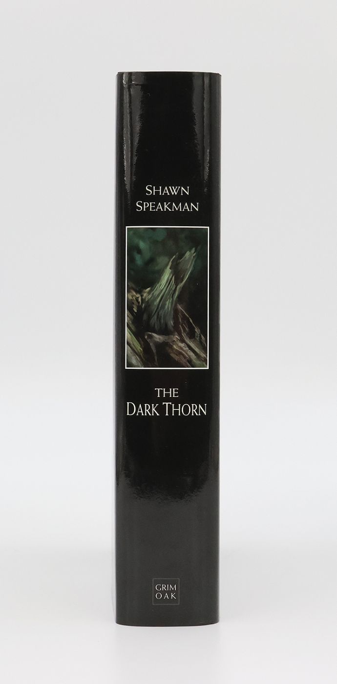 THE DARK THORN -  image 2
