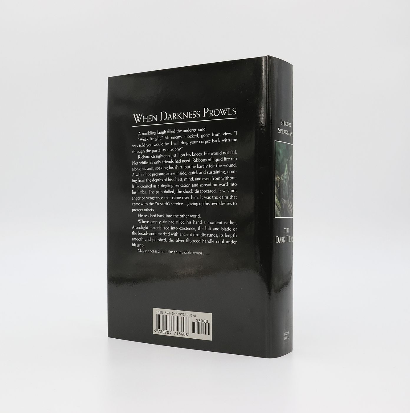THE DARK THORN -  image 3