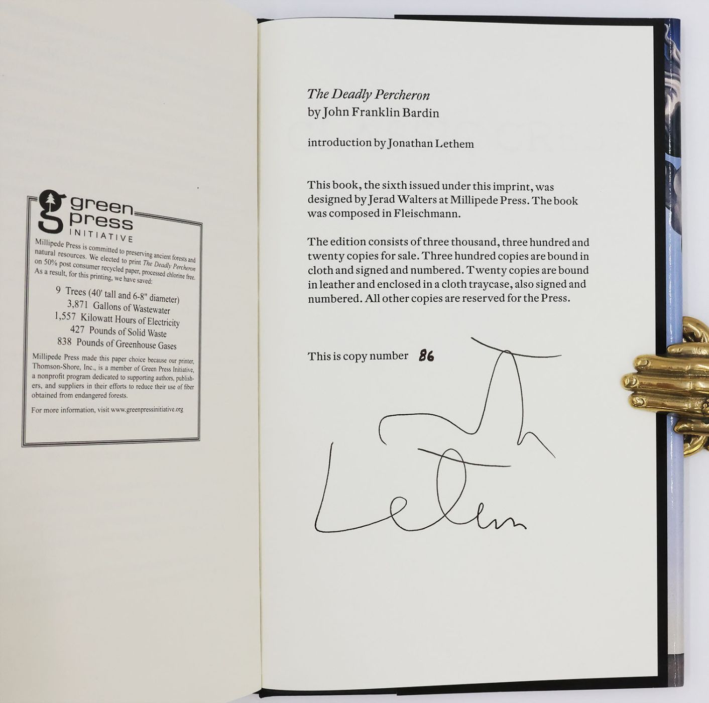 THE DEADLY PERCHERON -  image 2