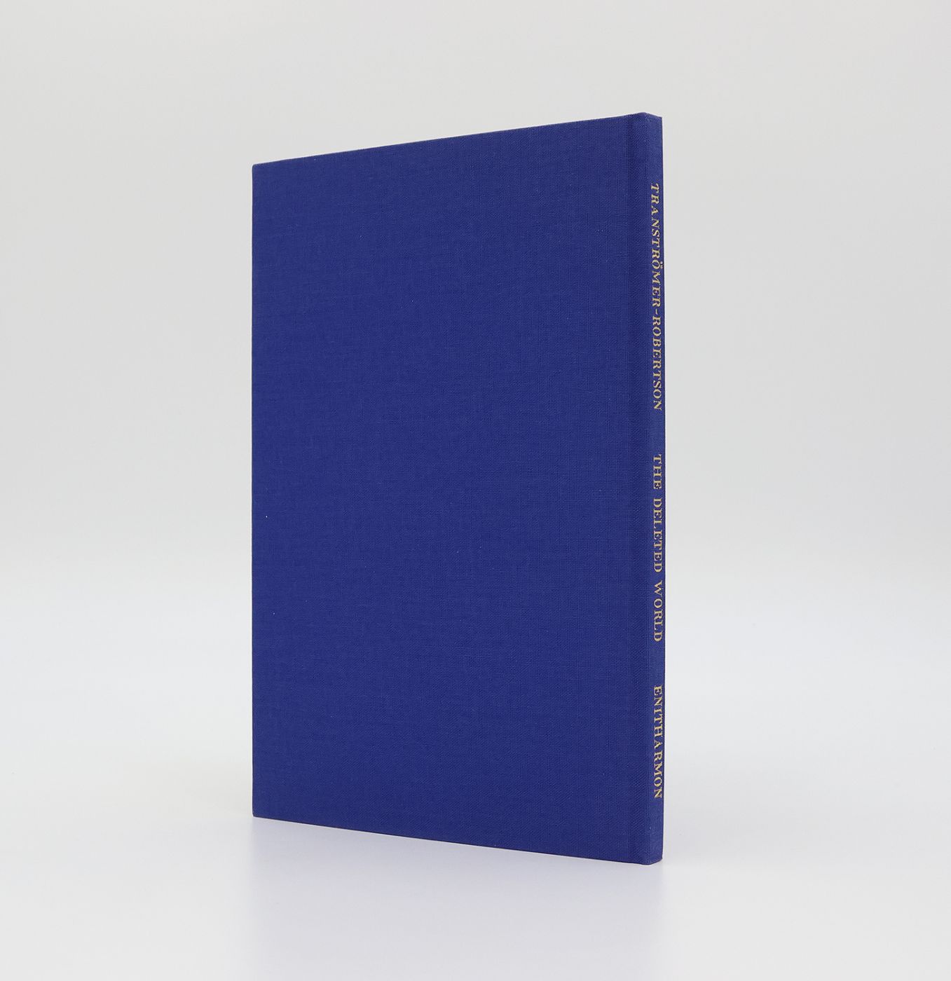 THE DELETED WORLD -  image 2