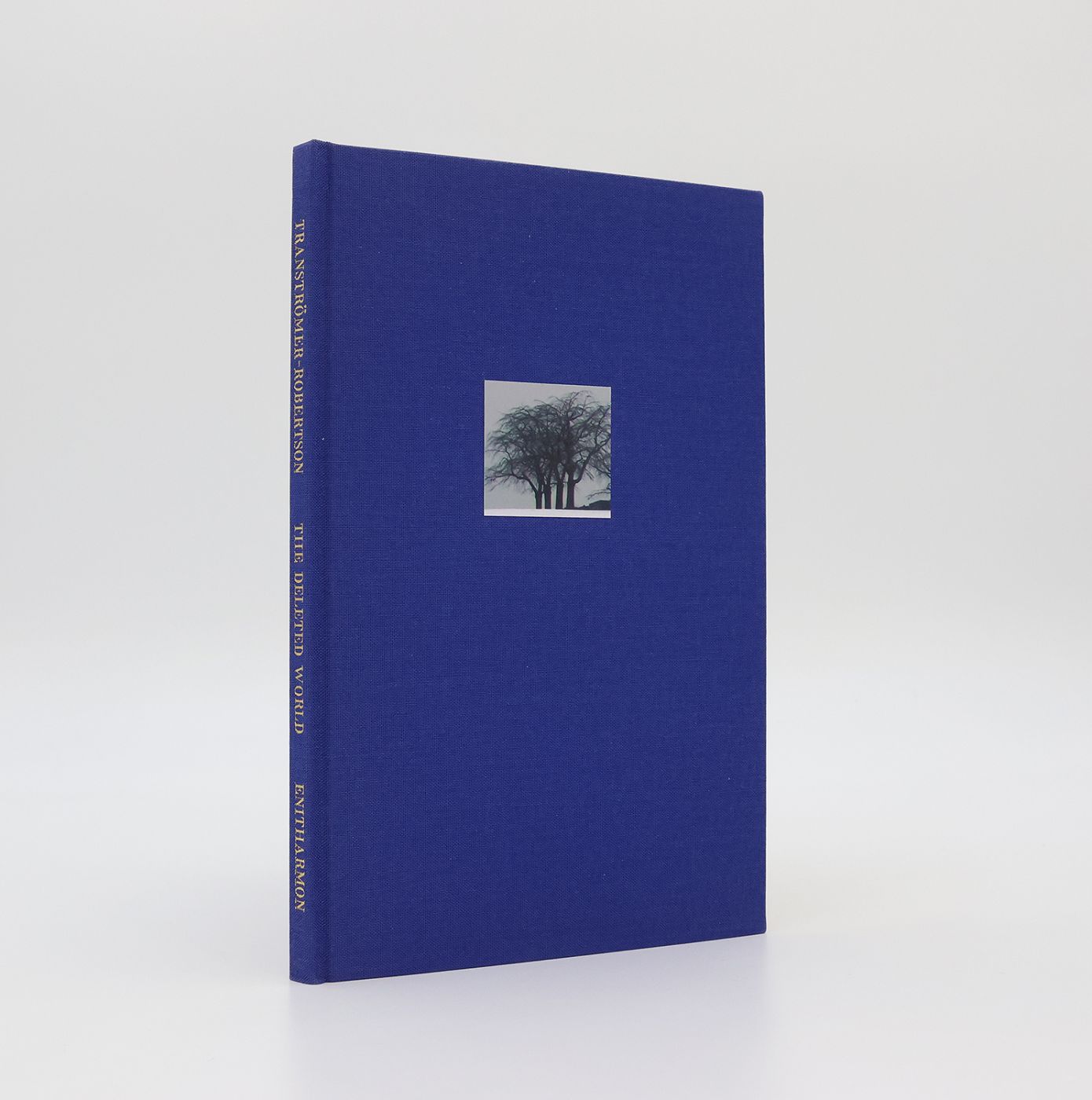 THE DELETED WORLD -  image 1