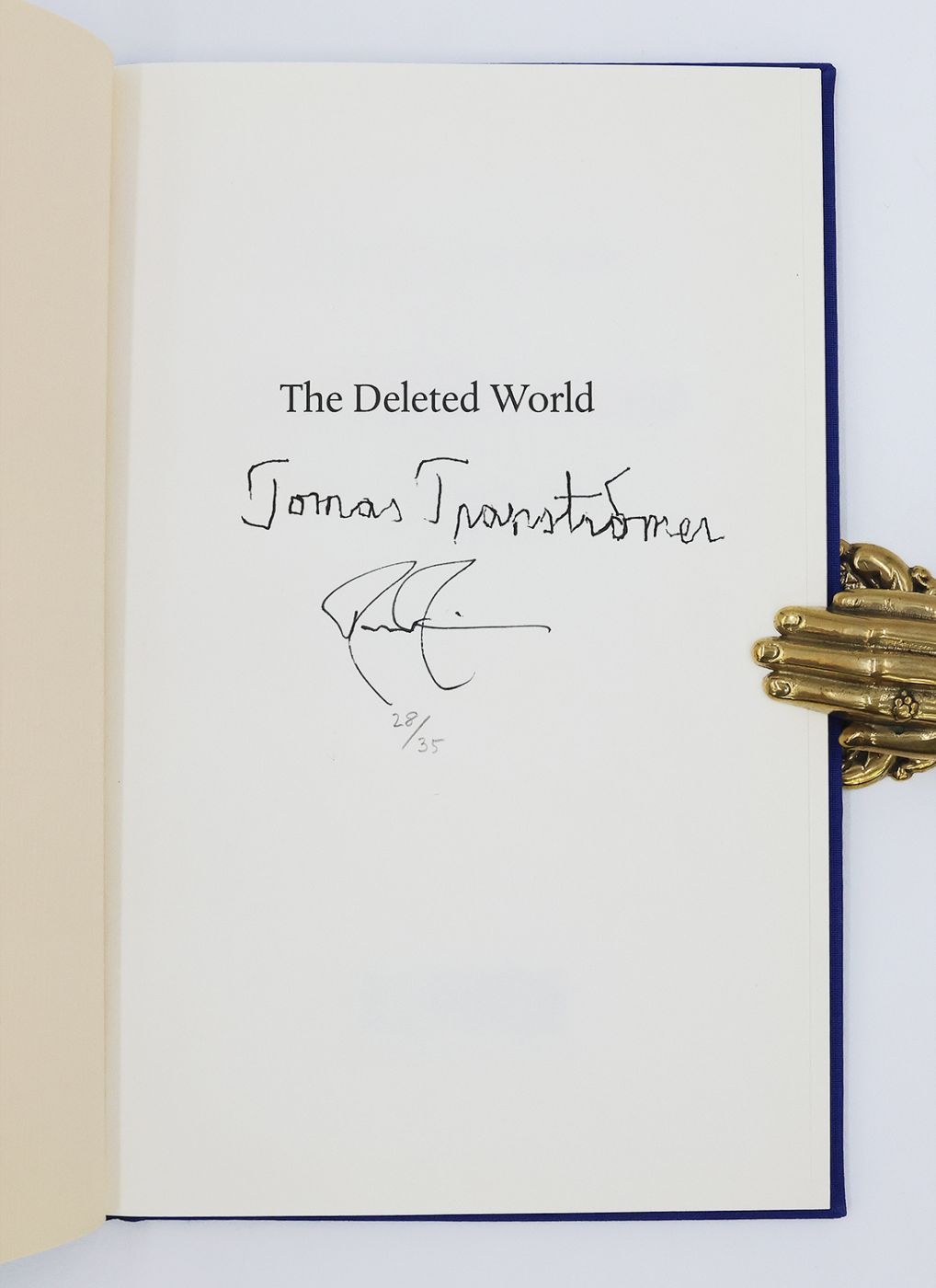 THE DELETED WORLD -  image 3