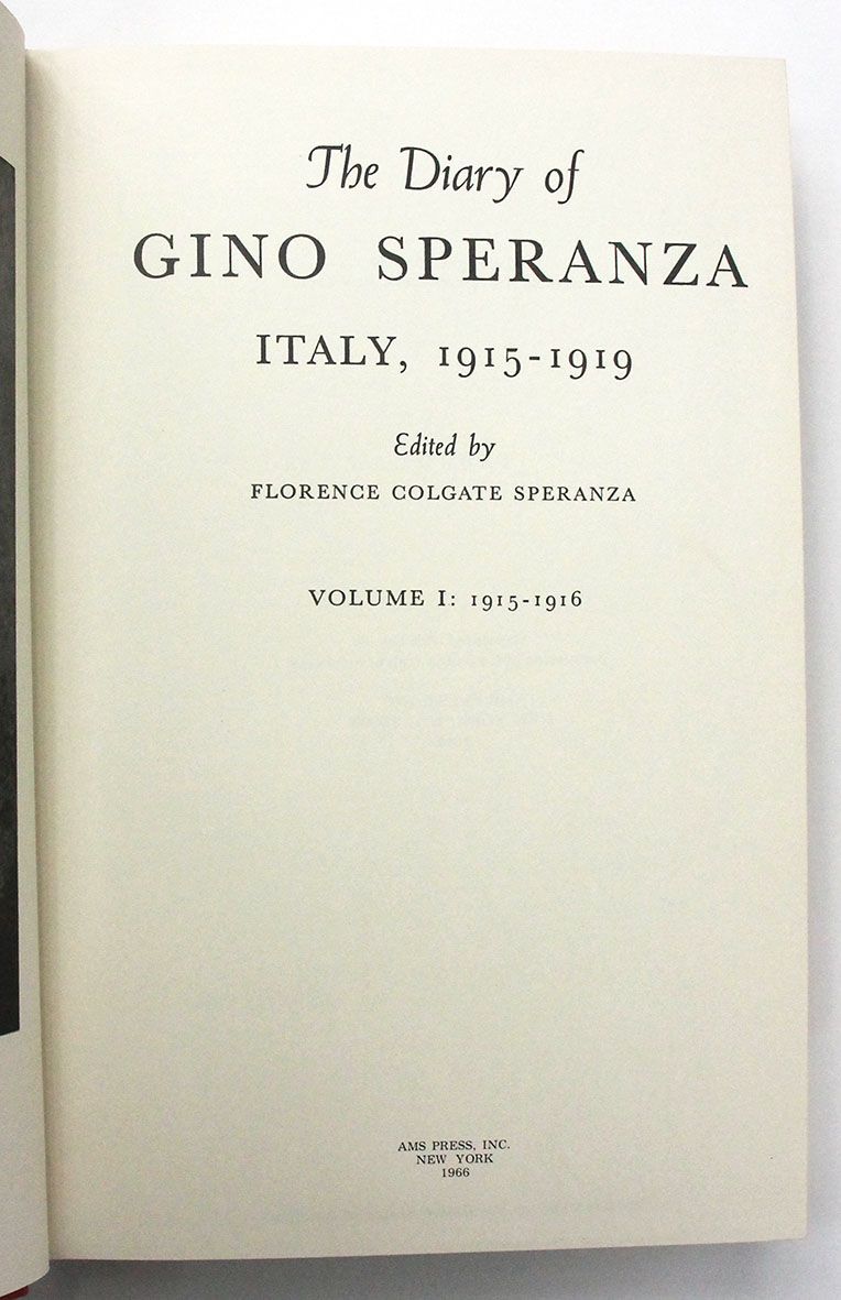 THE DIARY OF GINO SPERANZA -  image 4