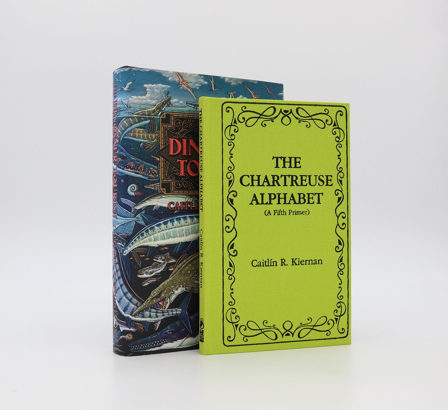 THE DINOSAUR TOURIST -  image 1