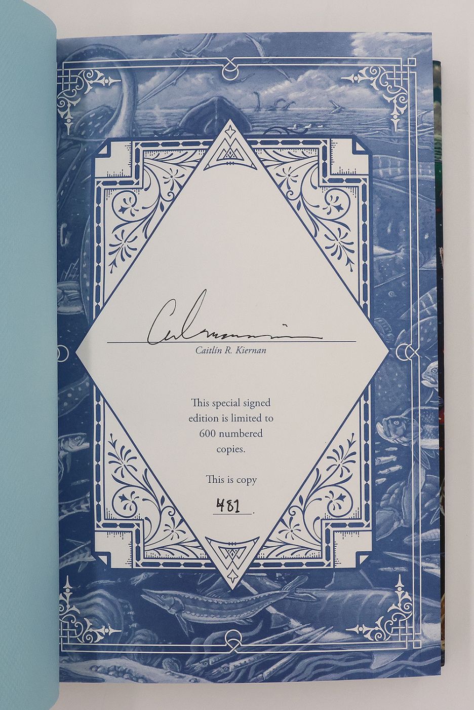 THE DINOSAUR TOURIST -  image 3