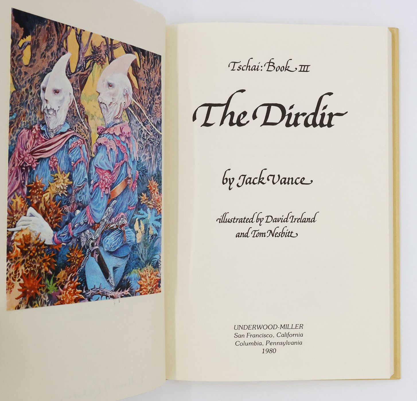 THE DIRDIR -  image 2