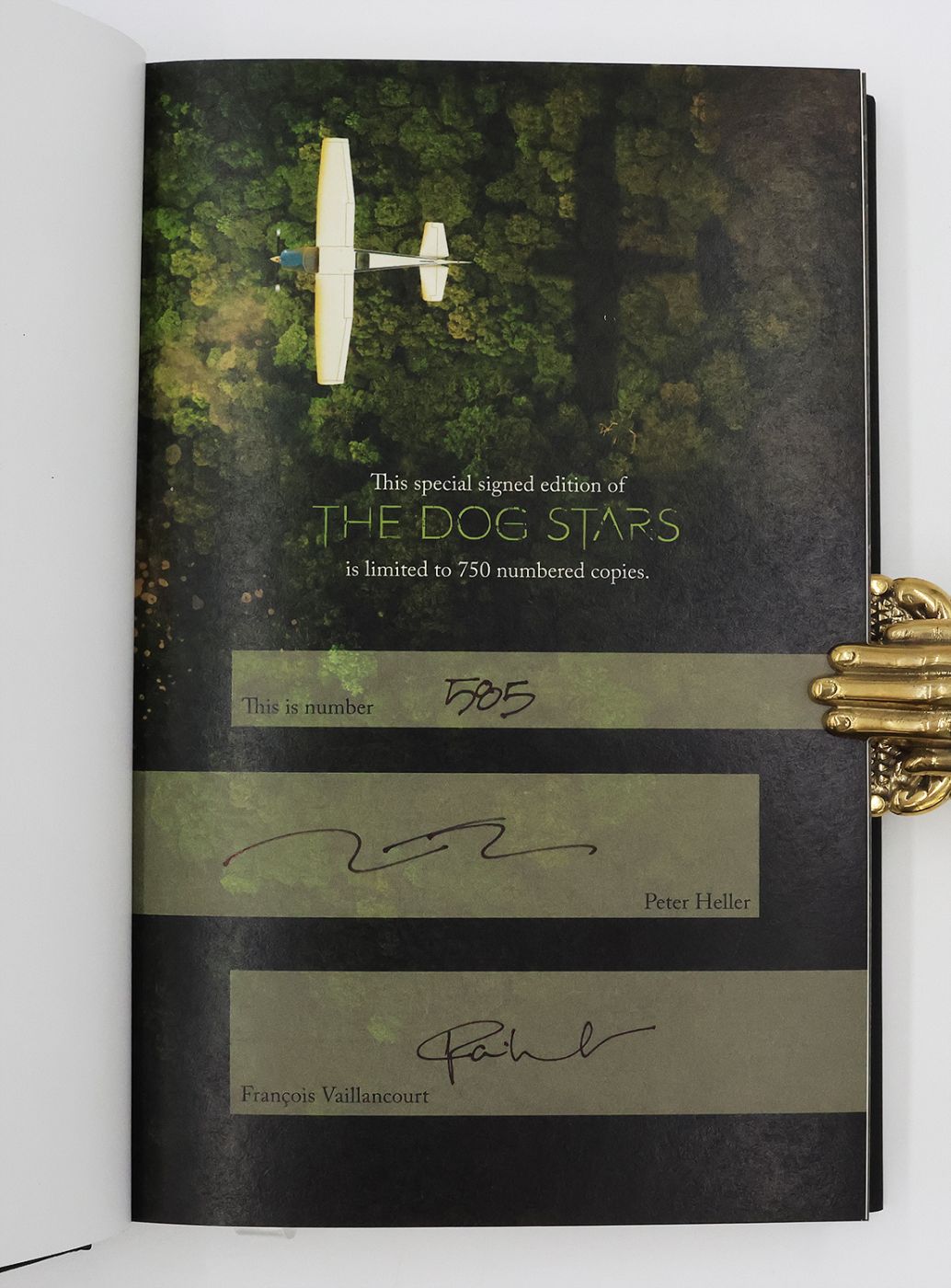 THE DOG STARS -  image 3