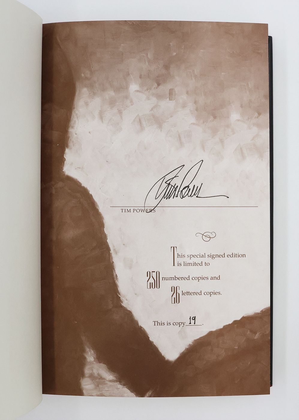 THE DRAWING OF THE DARK -  image 4