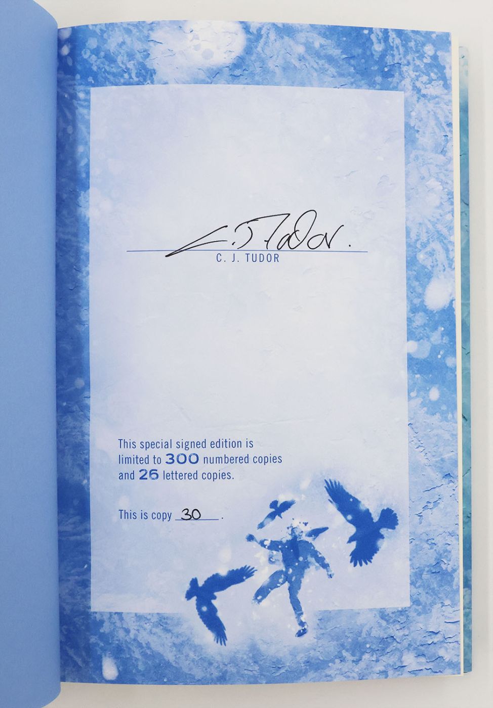 THE DRIFT -  image 2