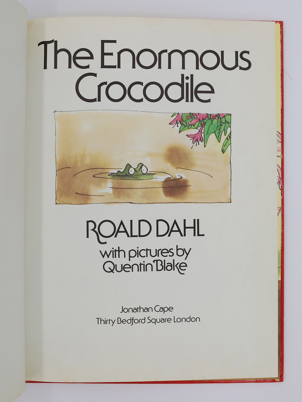 THE ENORMOUS CROCODILE -  image 3