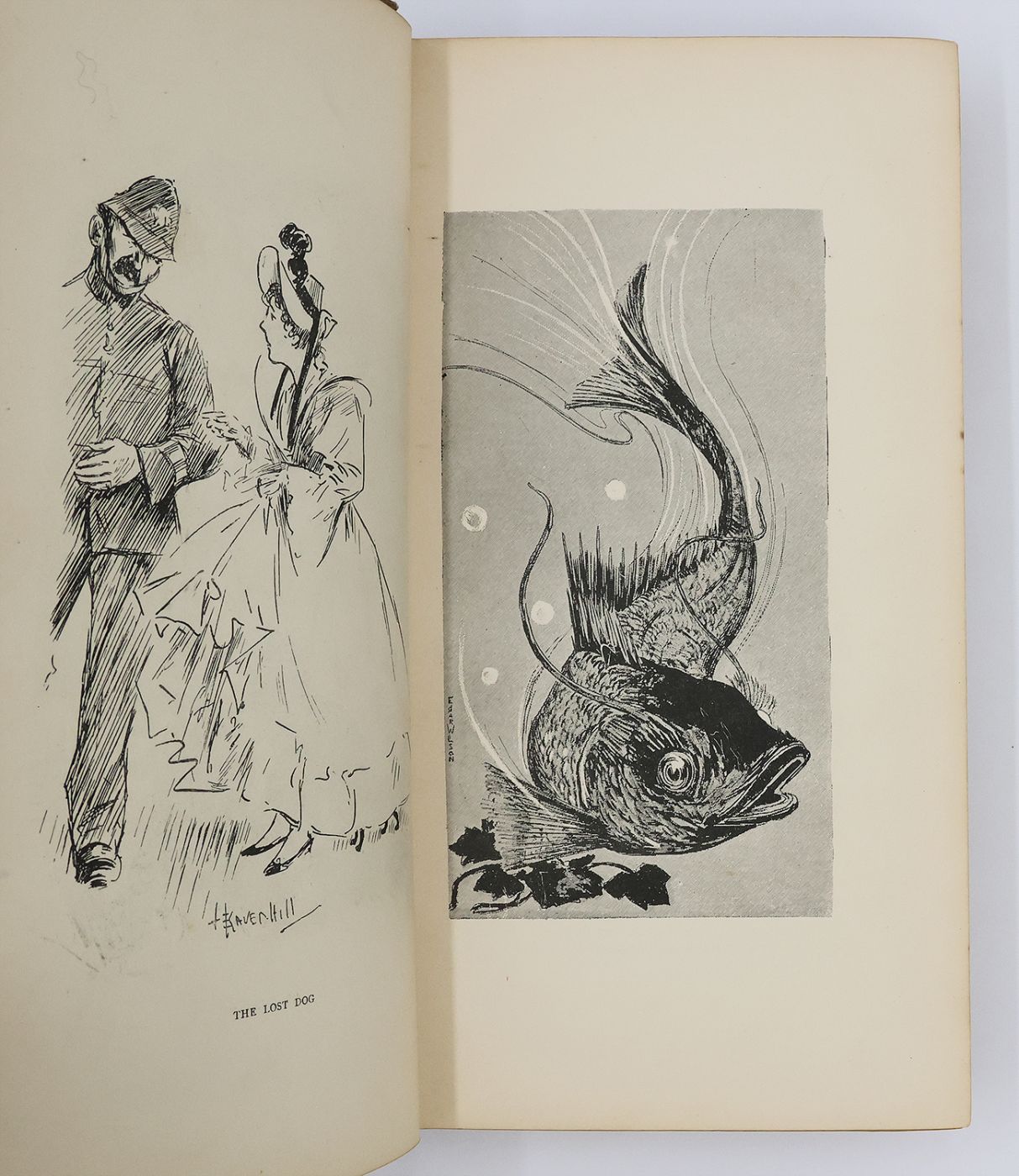 THE FIRST VOLUME OF THE BUTTERFLY. -  image 2