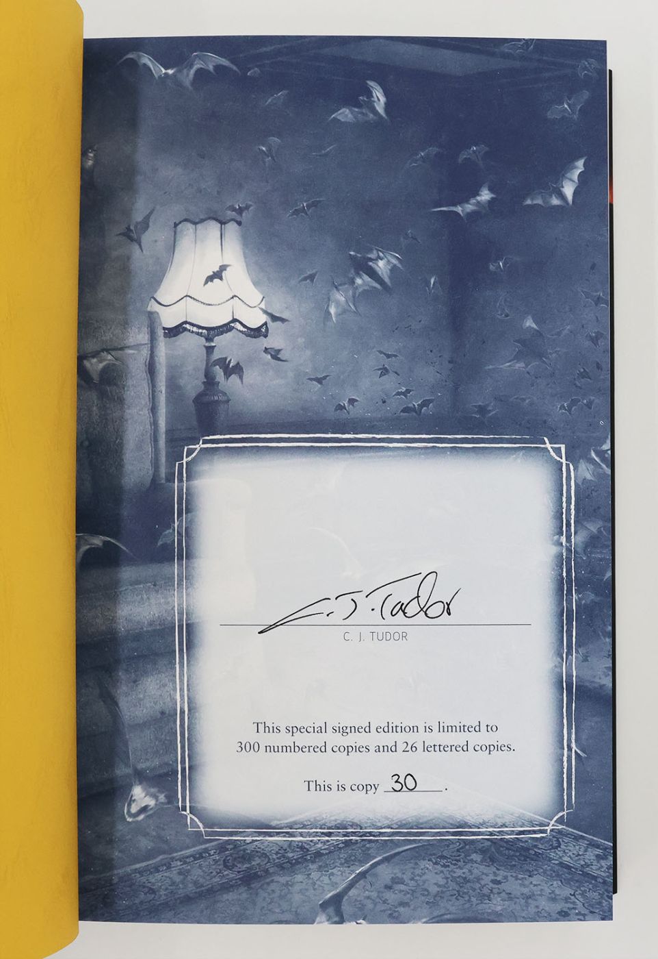 THE GATHERING -  image 2