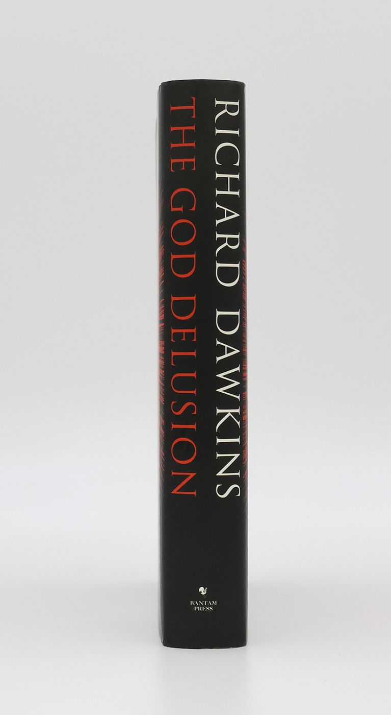 THE GOD DELUSION -  image 2