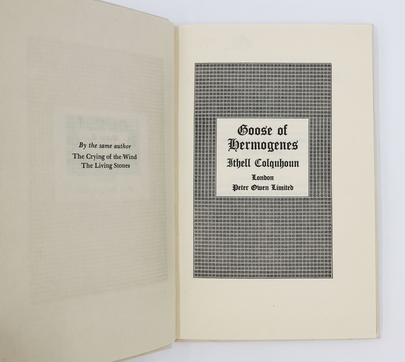 THE GOOSE OF HERMOGENES -  image 5