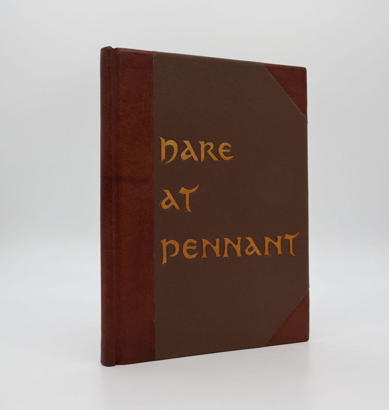 THE HARE AT PENNANT. -  image 2
