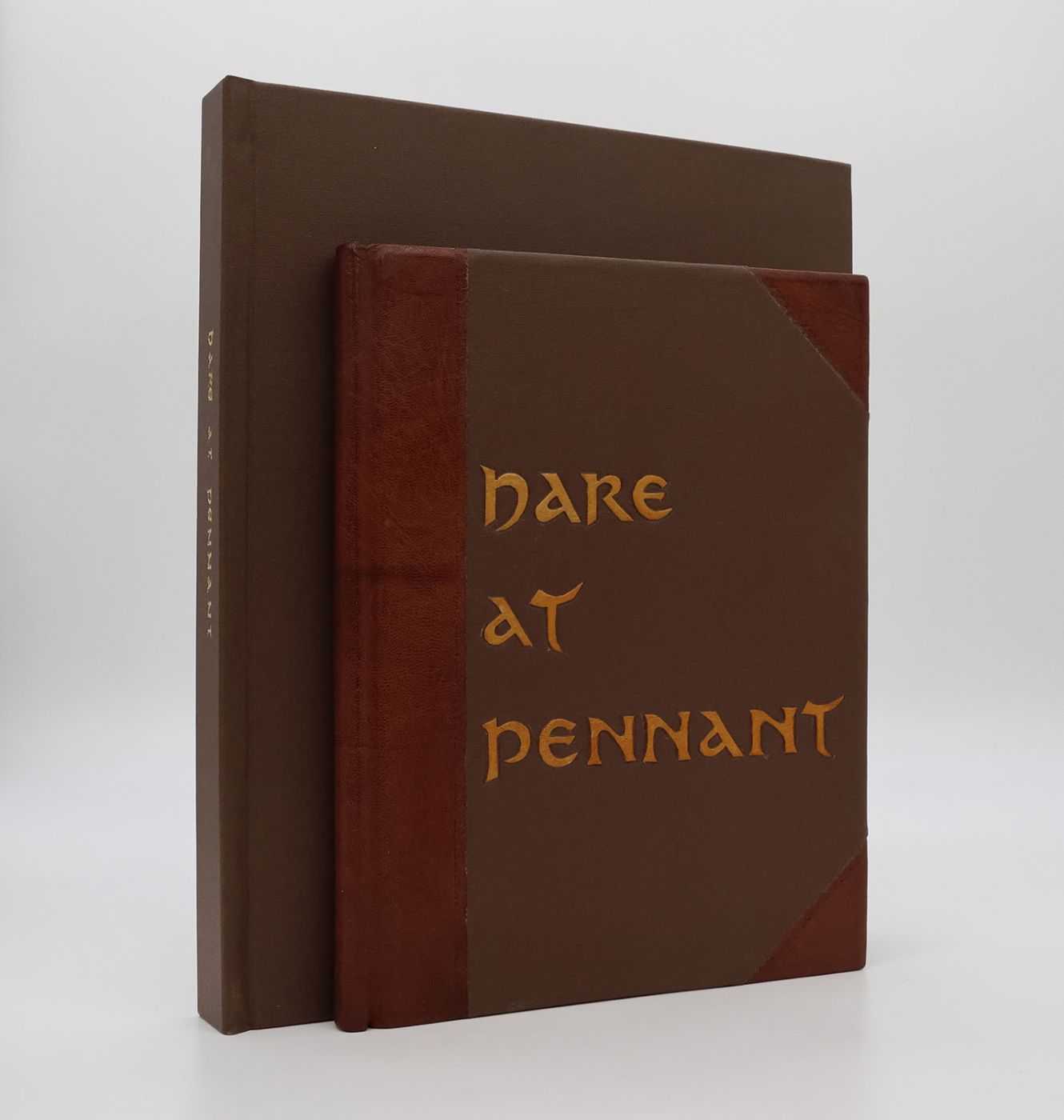 THE HARE AT PENNANT. -  image 1