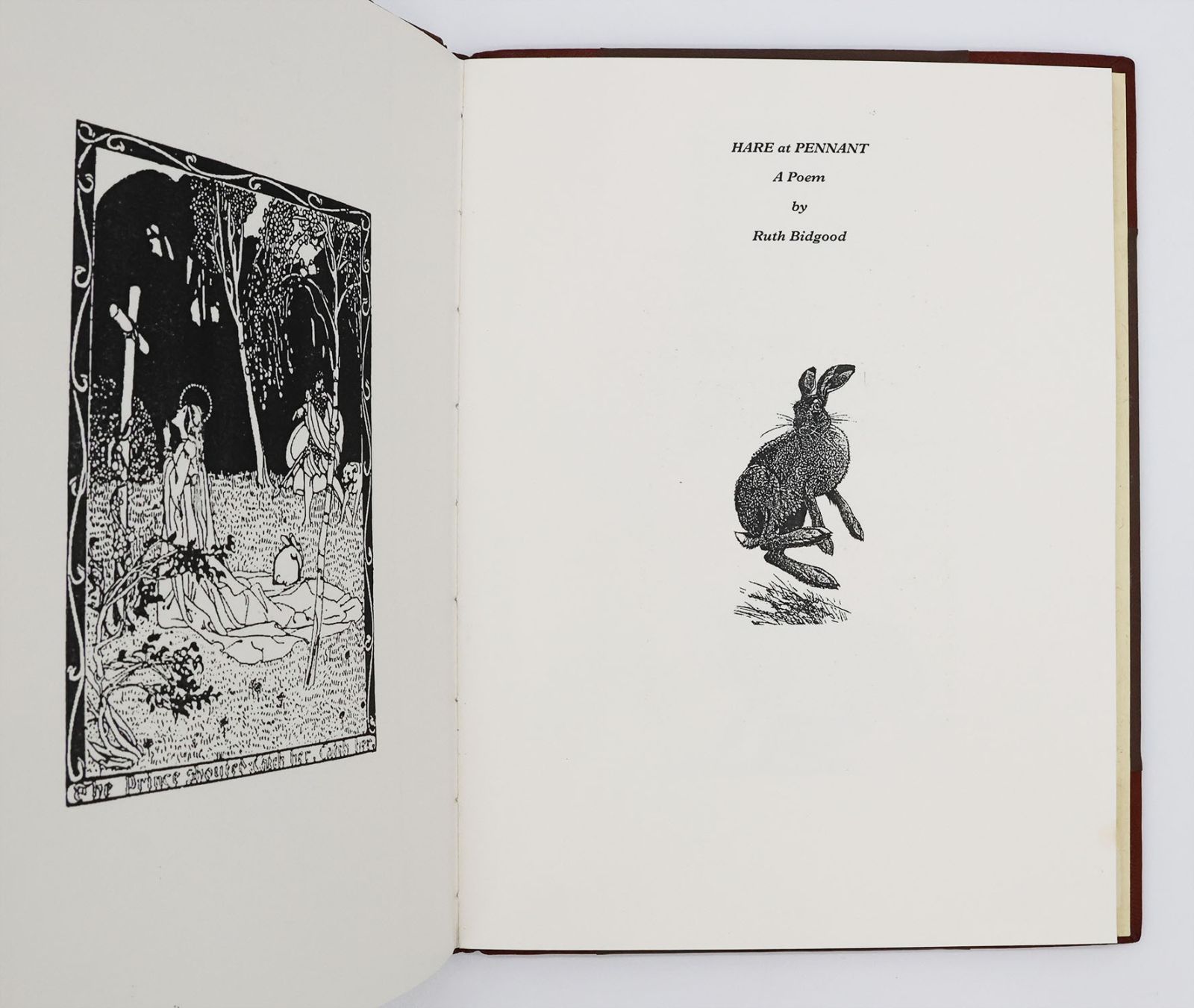 THE HARE AT PENNANT. -  image 4