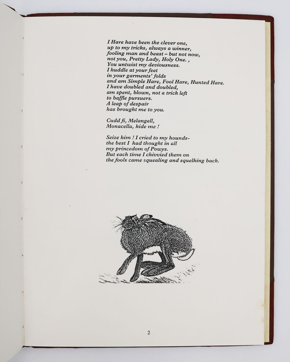 THE HARE AT PENNANT. -  image 5