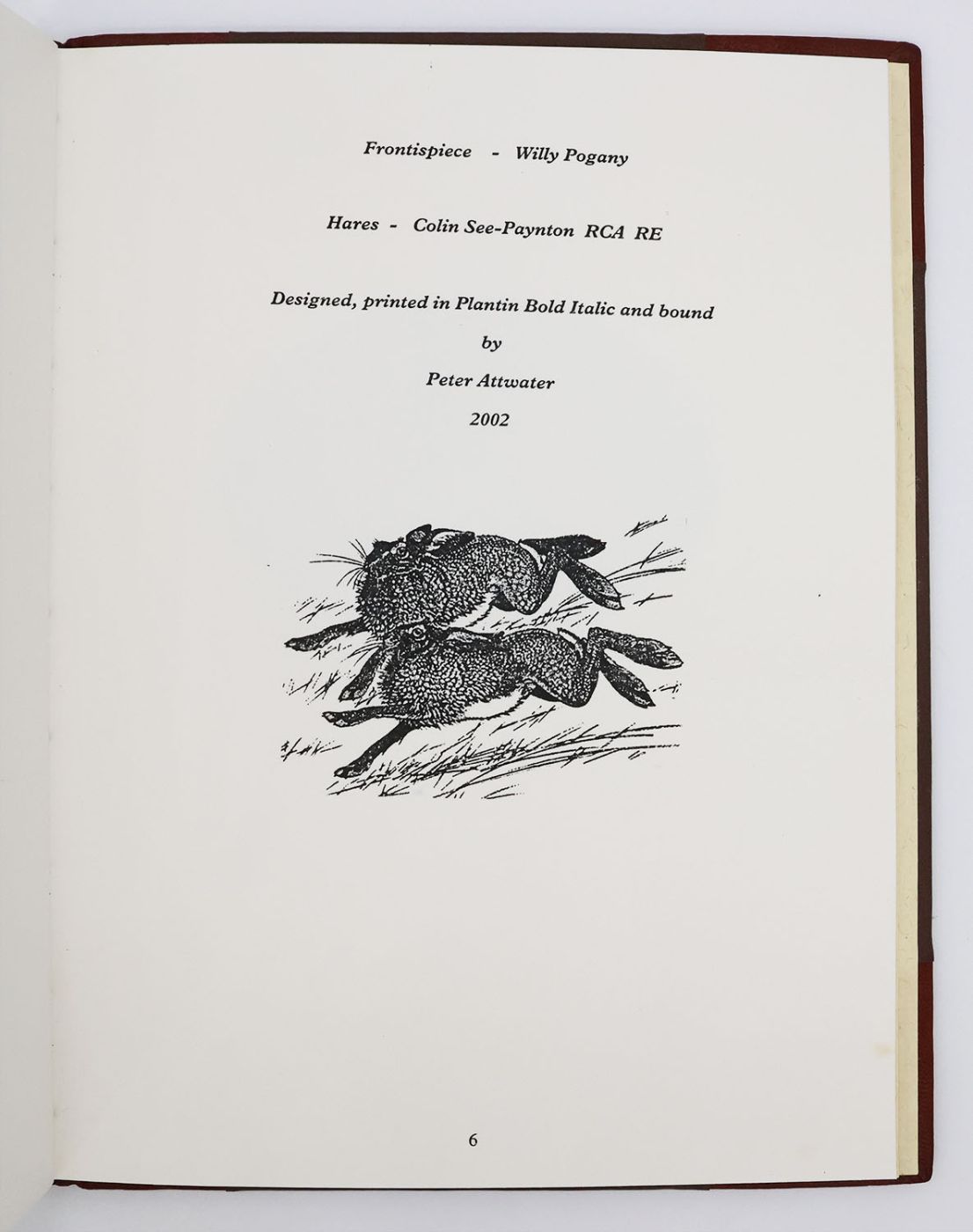 THE HARE AT PENNANT. -  image 6
