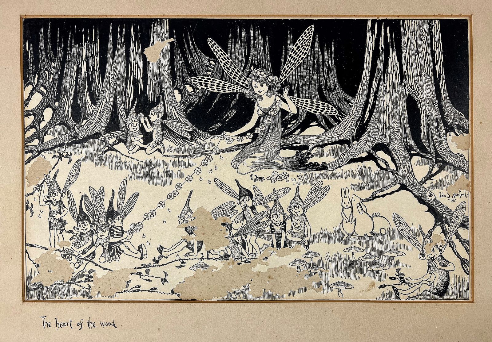 THE HEART OF THE WOOD -  image 1