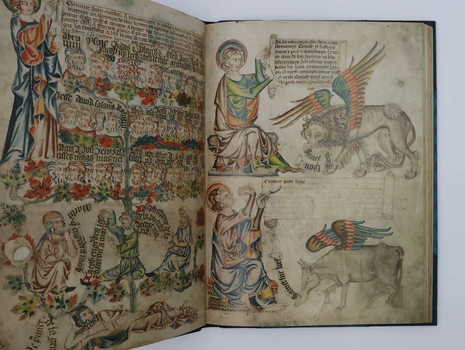 THE HOLKHAM BIBLE. -  image 6