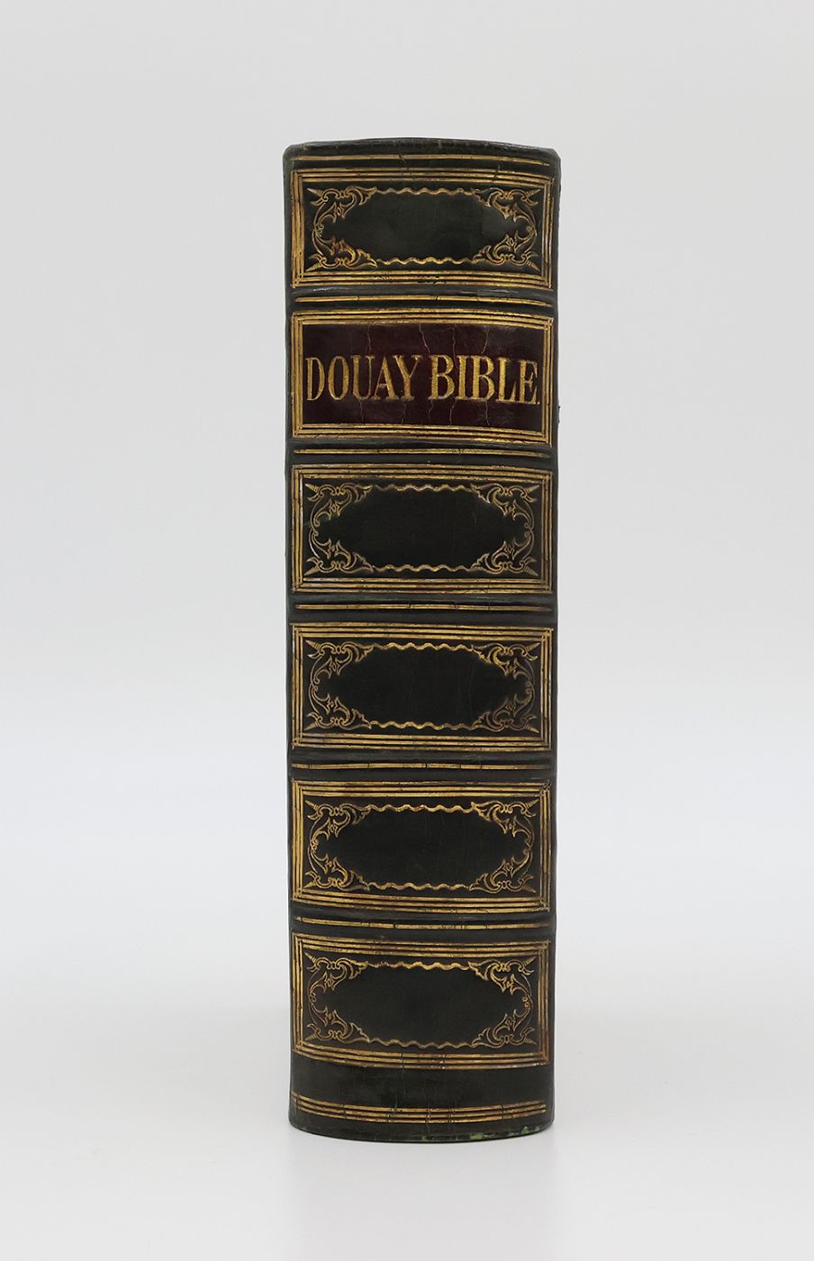 THE HOLY BIBLE. -  image 2