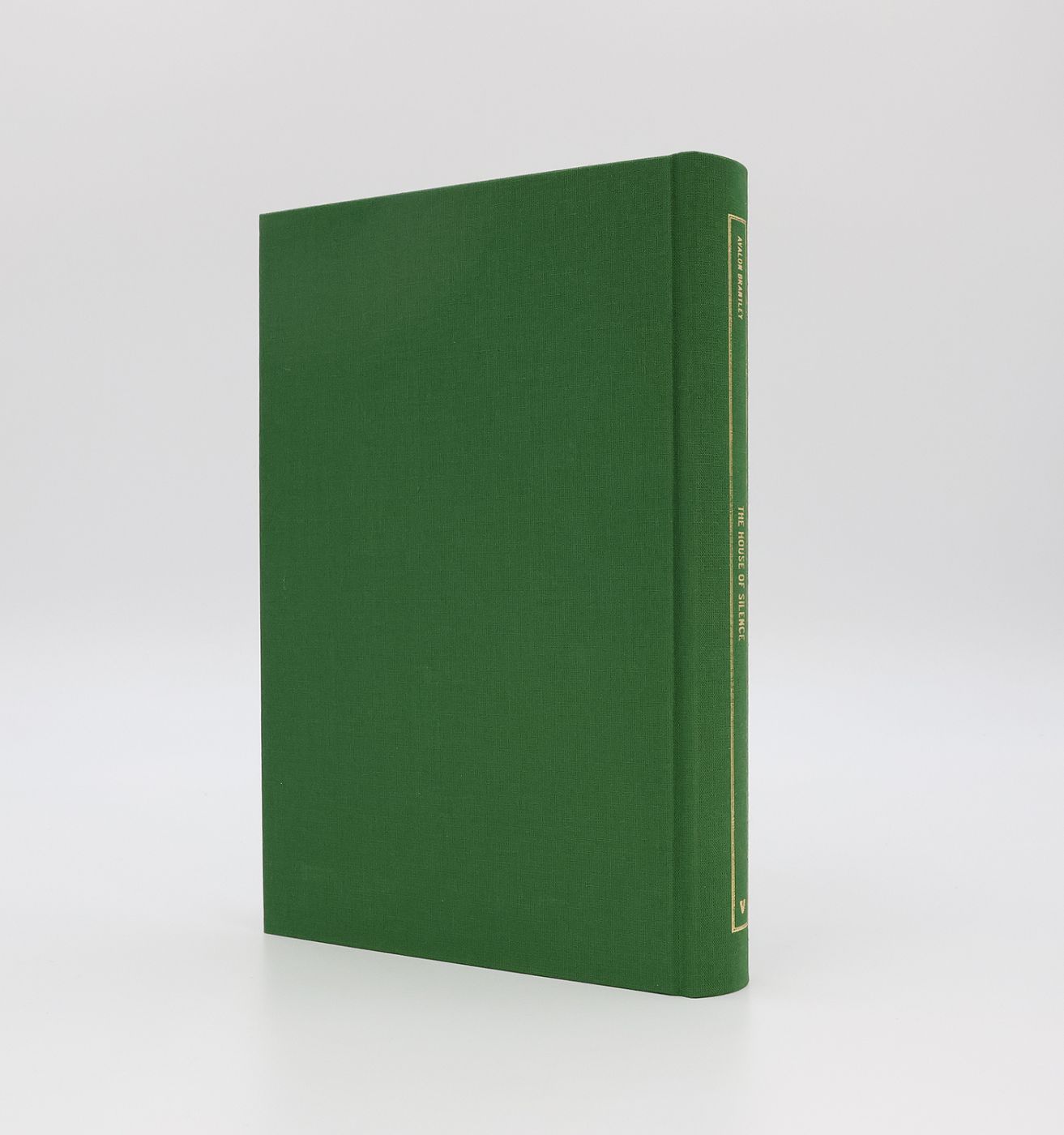 THE HOUSE OF SILENCE -  image 2