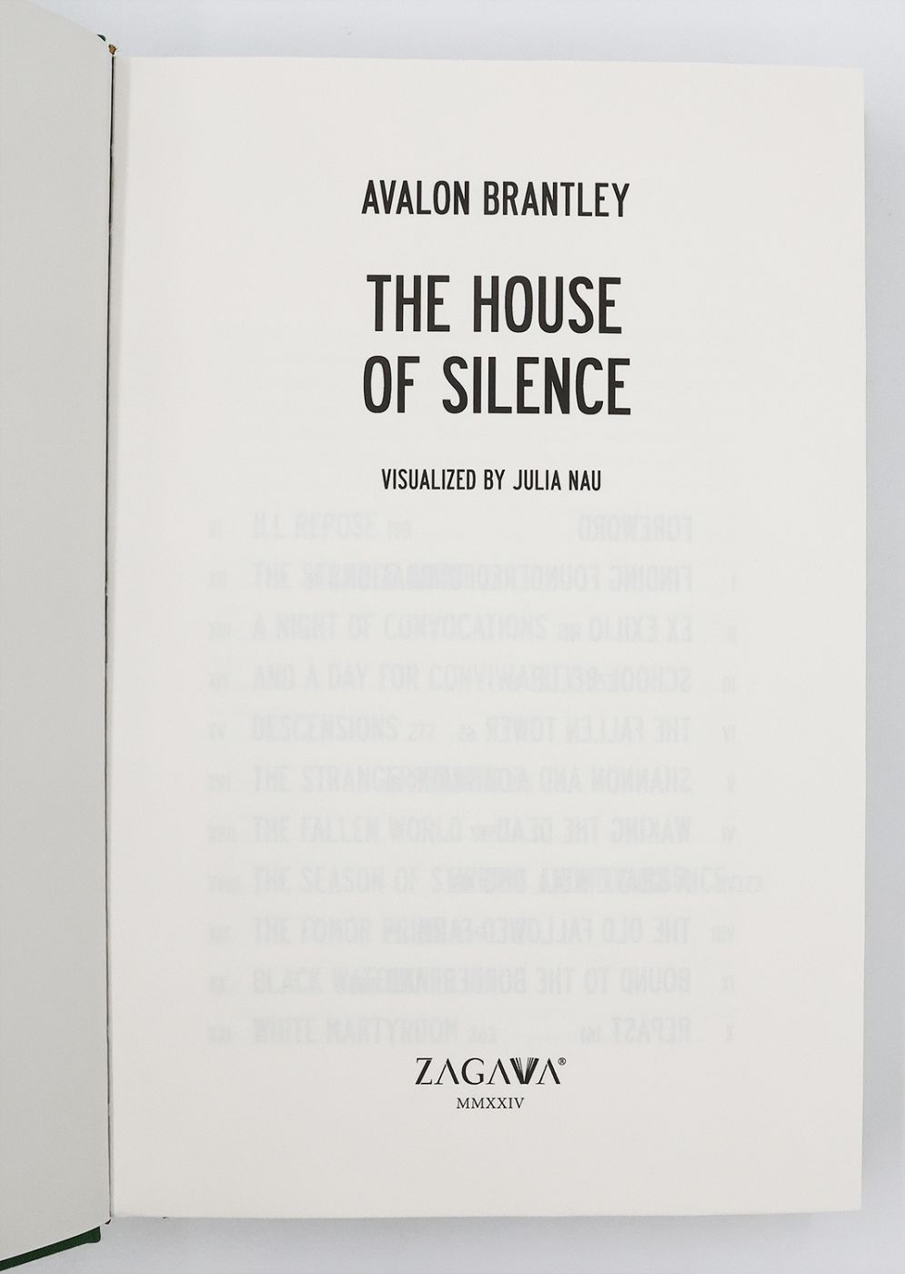 THE HOUSE OF SILENCE -  image 3