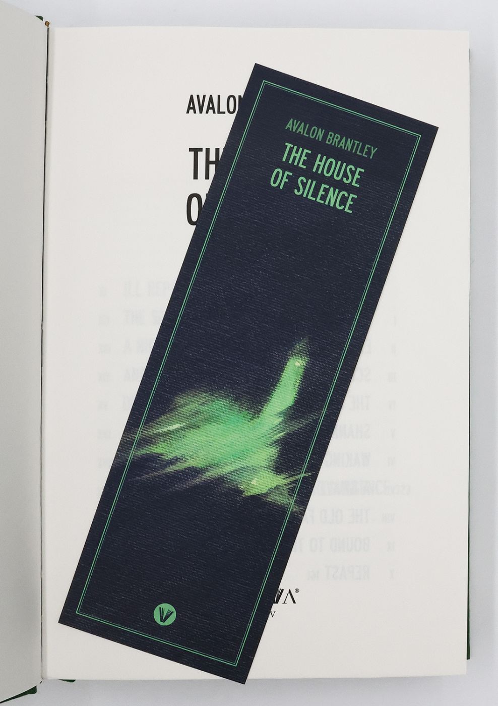 THE HOUSE OF SILENCE -  image 5