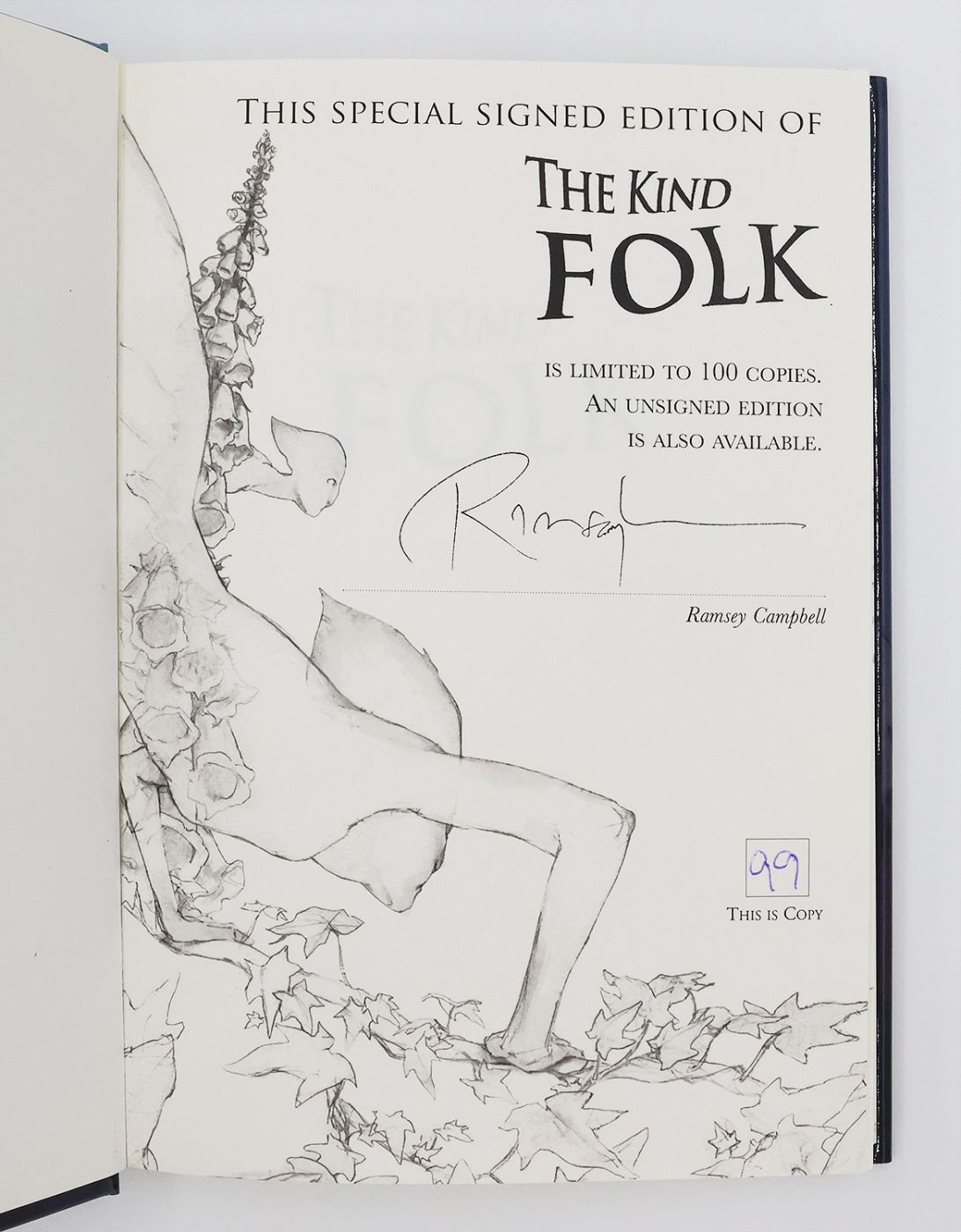 THE KIND FOLK -  image 2
