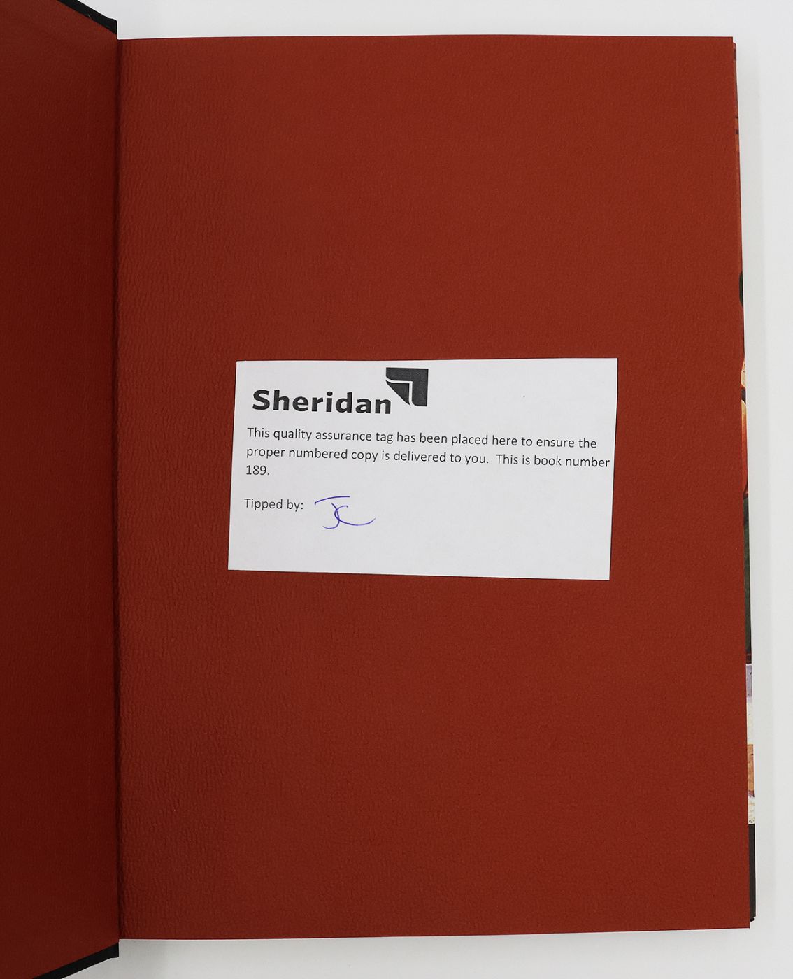 THE LAND OF LAUGHS -  image 3