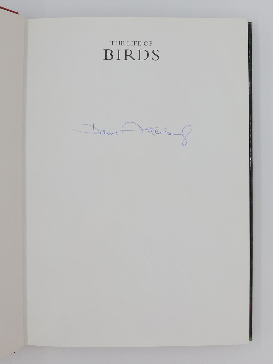 THE LIFE OF BIRDS -  image 2